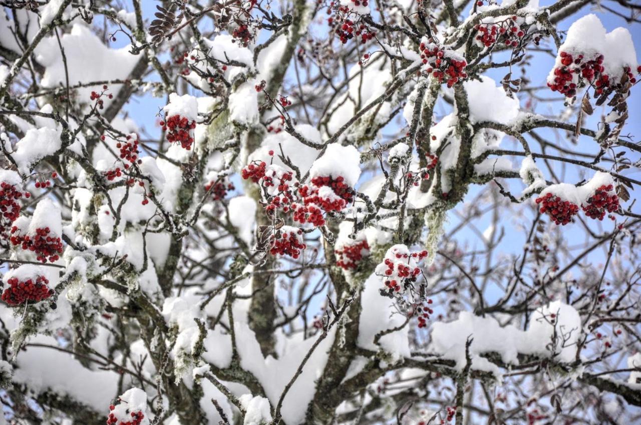 Ferienwohnung Kochs Beeren Oberfresen エクステリア 写真