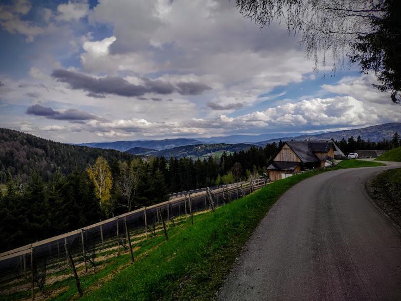 Ferienwohnung Kochs Beeren Oberfresen エクステリア 写真