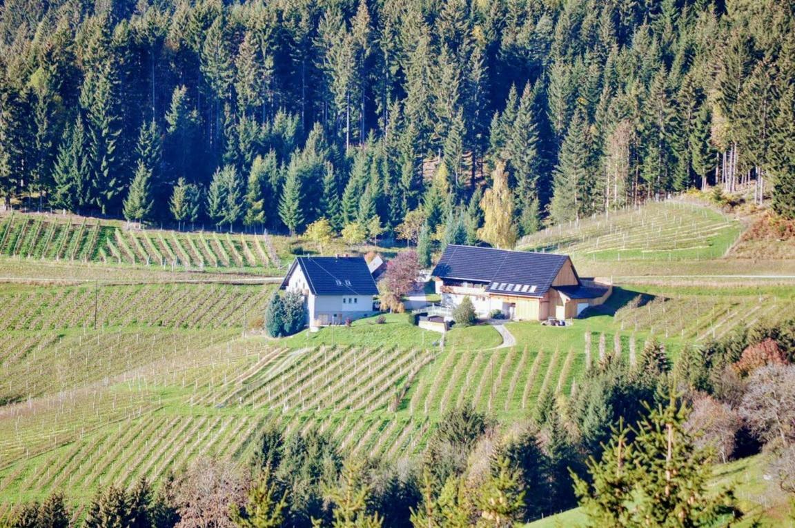 Ferienwohnung Kochs Beeren Oberfresen エクステリア 写真